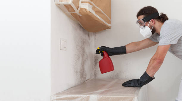 Professional Crawl Space Mold Removal technician working in Austin, MN